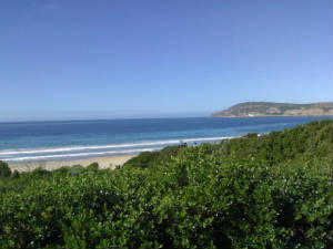 Plett-Beach.jpg