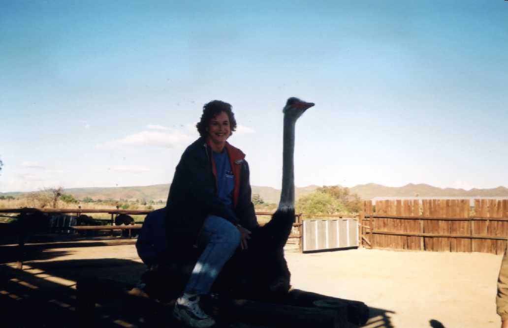 Ostrich-Gudrun.jpg