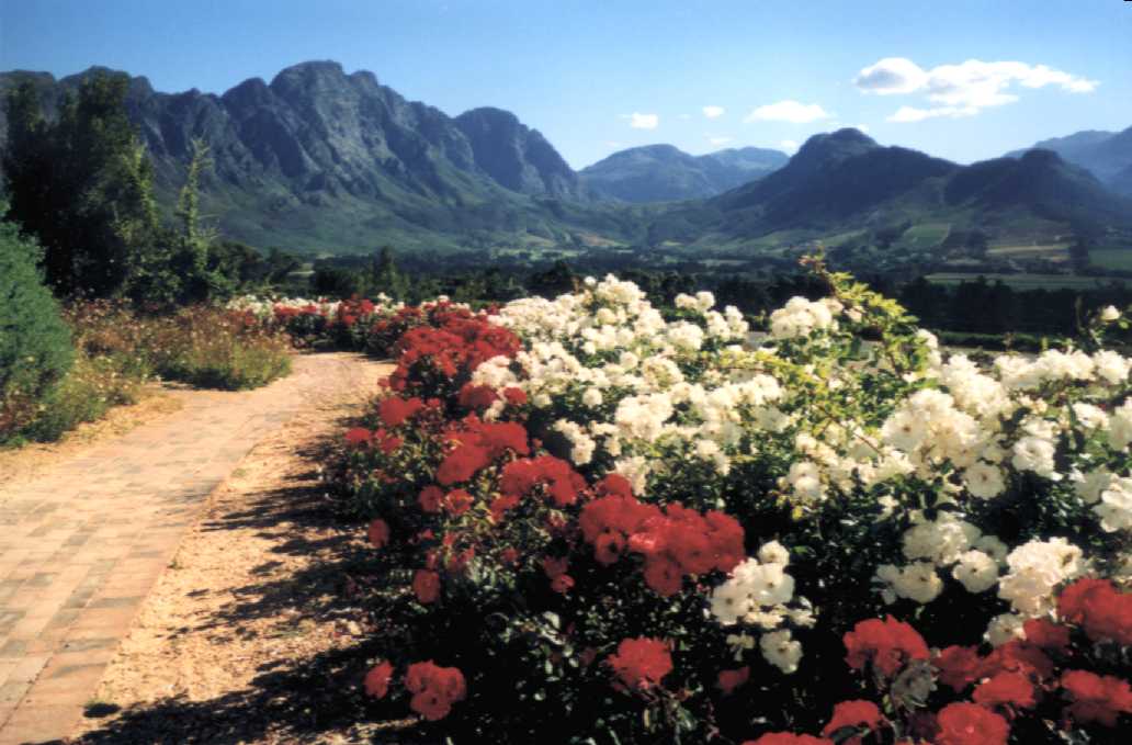 franschhoek-perfect.jpg